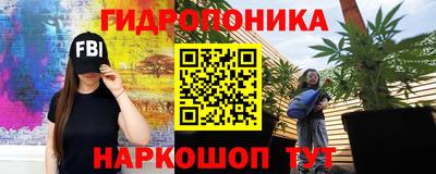 apvp Обнинск